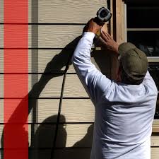 Best Historical Building Siding Restoration  in Shawneetown, IL